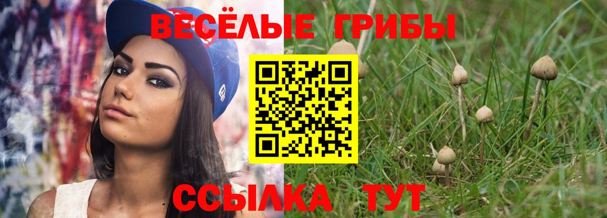 цена наркотик  Псилоцибиновые грибы прущие грибы  Псилоцибиновые грибы ЛСД  Вход с VPN  Всеволожск 