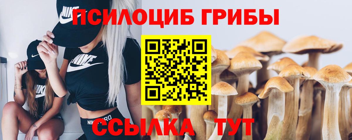 Галлюциногенные грибы мухоморы Всеволожск